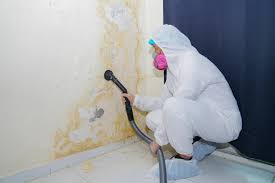 Best Mold Remediation for Healthcare Facilities  in Jasper, GA